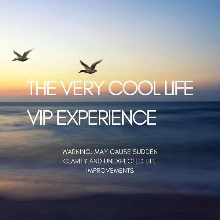 The Very Cool Life VIP Experience Bundle (with live coaching!)